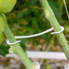 Крюк для поддержки стеблей для томата Paskal